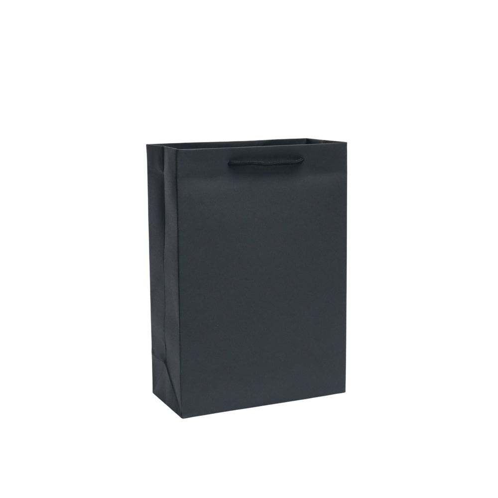 GoPlayer Paper Gift Bag