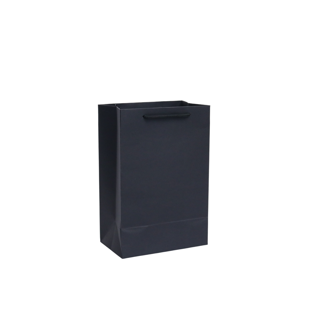 GoPlayer Paper Gift Bag