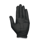 GoPlayer FlexFit Golf Gloves(Black)